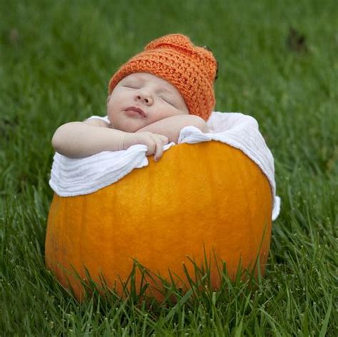 newborn pumpkin pictures|cutest baby pumpkin pictures.